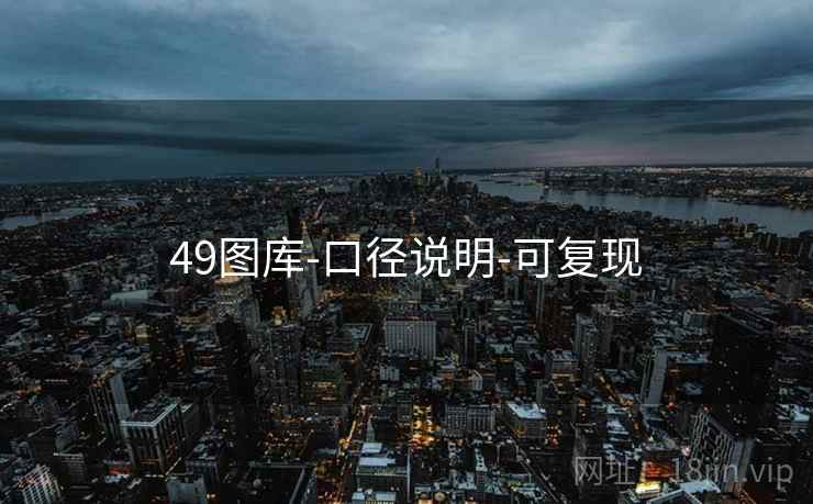 49图库-口径说明-可复现
